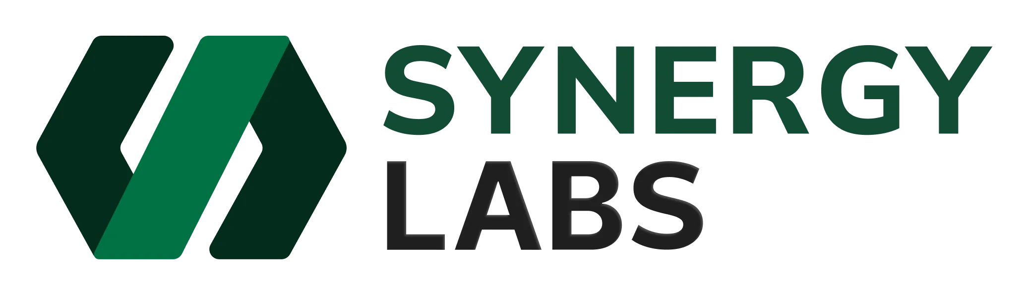 Synergy Labs Logo